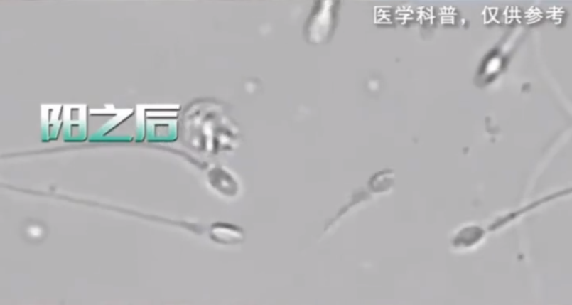 陽康后，多久能過正常性生活