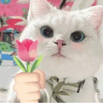 陽康后，多久能過正常性生活