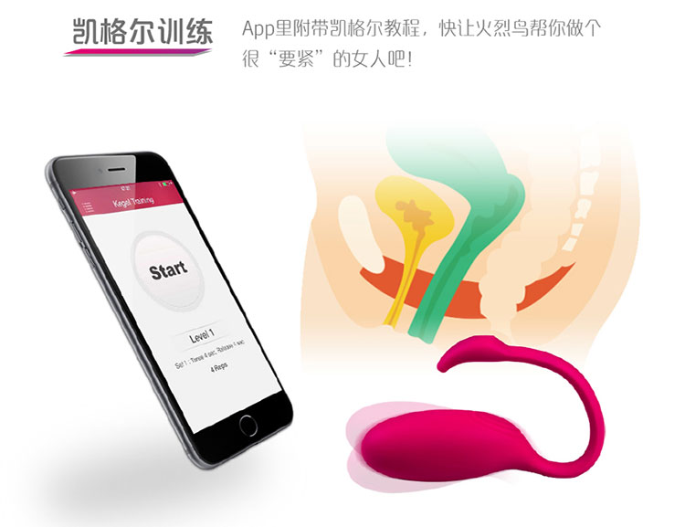 魅動(dòng)火烈鳥APP遙控