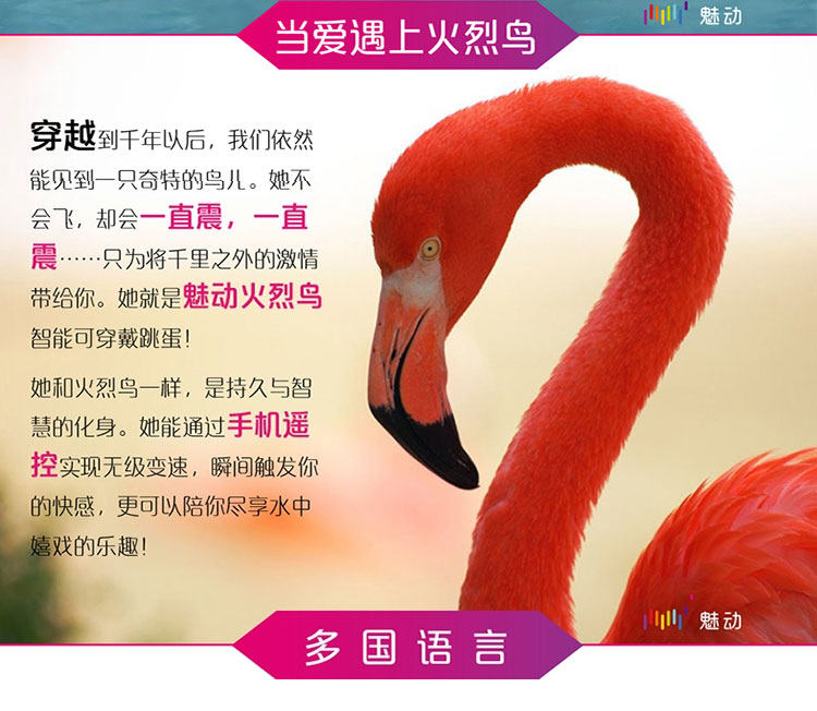 魅動(dòng)火烈鳥APP遙控