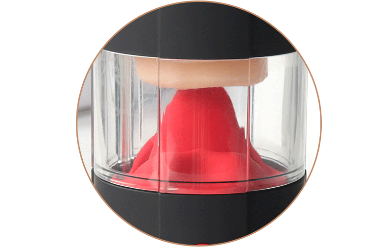 夢佳人唇語舌舔飛機杯