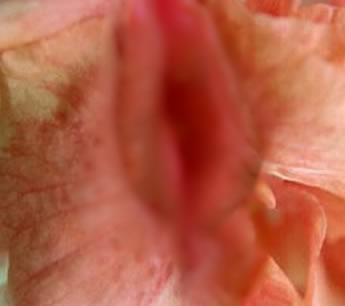 女人十大名器詳解：不一樣的外陰形狀不一樣的感覺