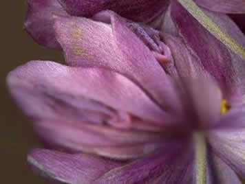 女人十大名器詳解：不一樣的外陰形狀不一樣的感覺