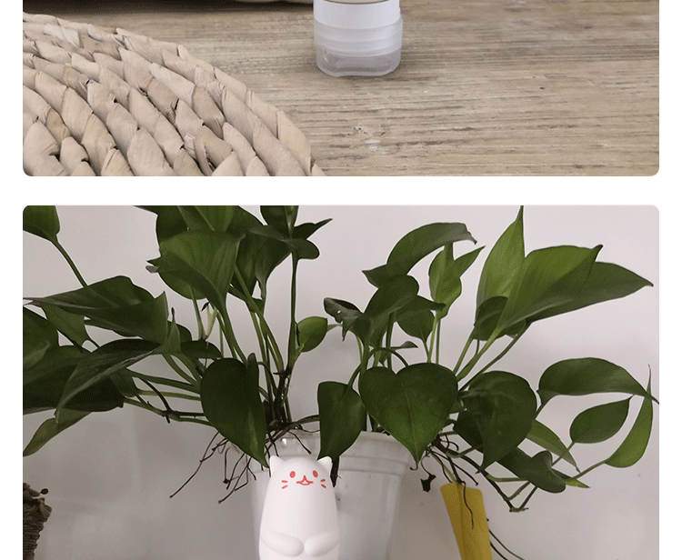 趣愛閣-成人用品批發人體潤滑液：歪馬小貓硅膠潤滑液人體潤滑液