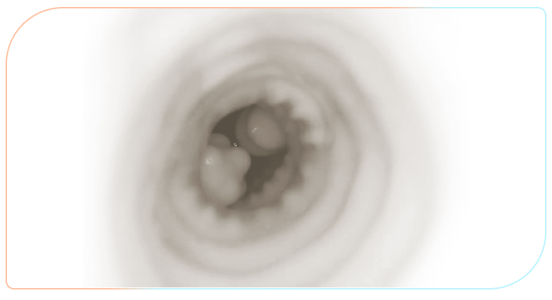 趣愛閣-情趣用品購物網站飛機杯：斯漢德SHD-S409玫瑰妖姬飛機蛋飛機杯
