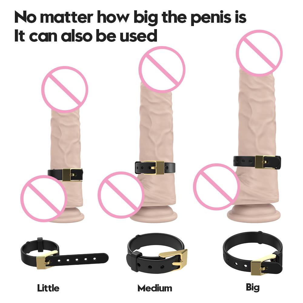 趣愛閣-情趣用品廠商鎖精環：斯漢德SHD-S450 Choker女王鎖精環